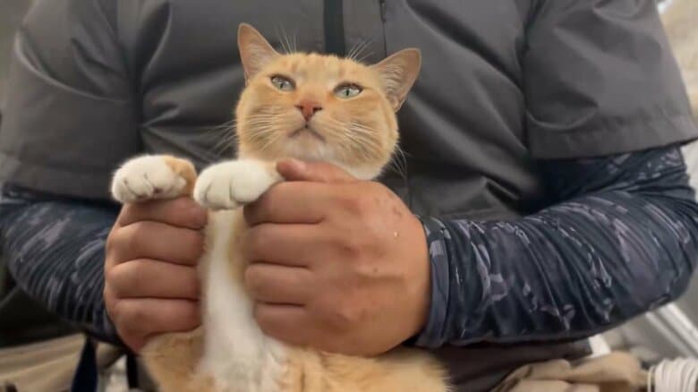 踊るチャミちゃん