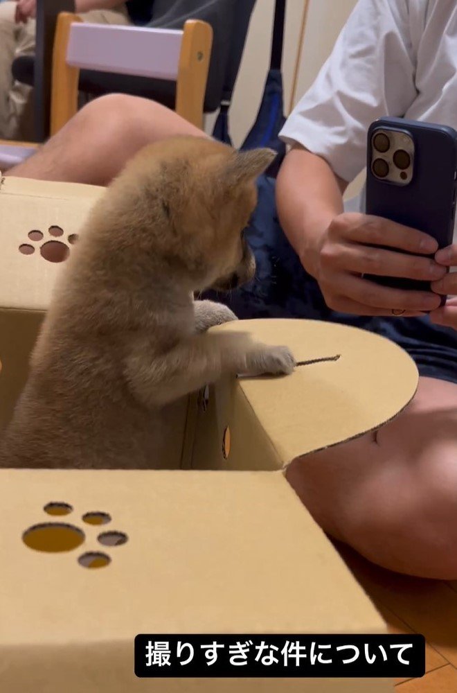 カメラの方を向いて、シャッターチャンスが到来