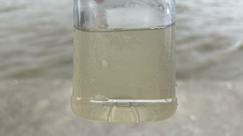 ロンドン中心部でとったテムズ川の水