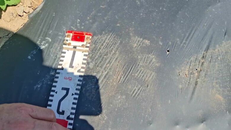 見つかった足跡は幅15センチほど（提供：池上治男さん）