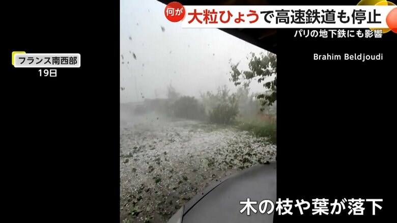 ひょうがあたって落下した木の枝や葉（現地時間19日、フランス南西部）