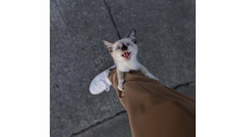 2年前の肩幅さんとつむぎちゃんの出会い