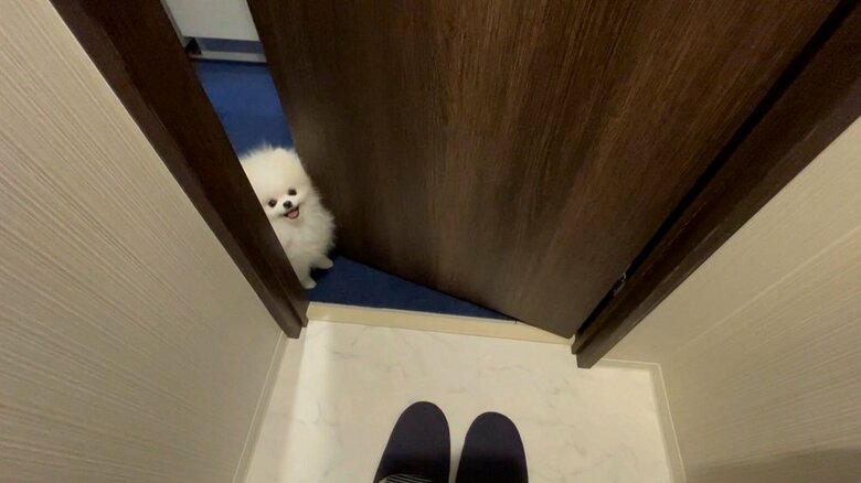 トイレをのぞく