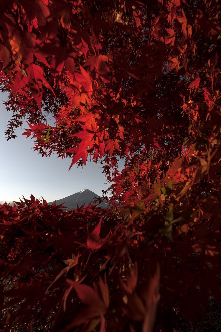 お気に入りの富士山写真