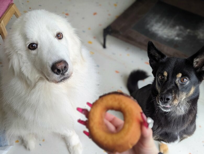 ドーナツが気になる“ふたり”