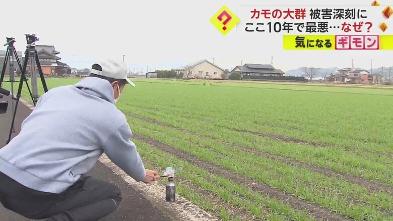 対抗策として、花火に火を付ける農家