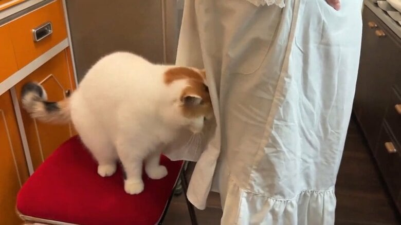 お母さん大好きなあんみつちゃん