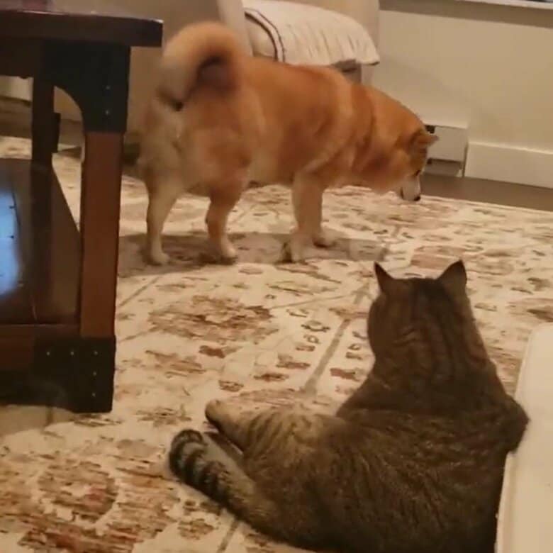 そのまま向こう側に通り抜けた