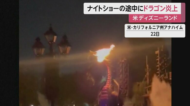 口から出した炎が、ドラゴン自身の頭部に…