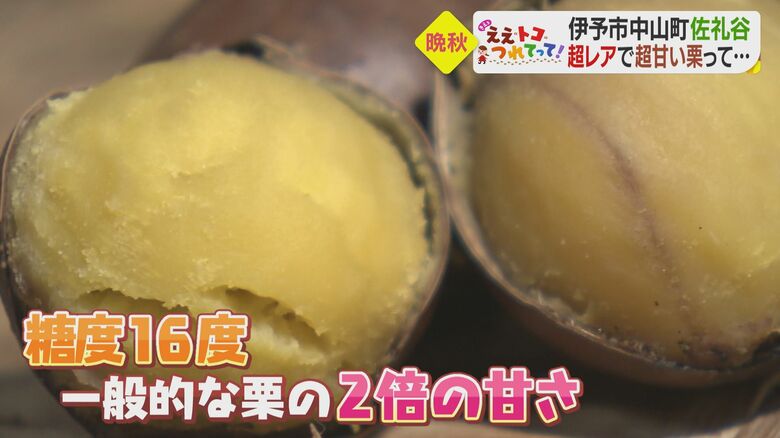 しっとり、なめらかな食感