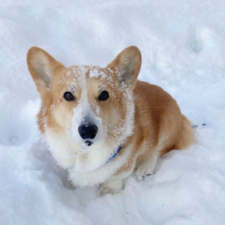 提供：むぎん家＠きよらさん