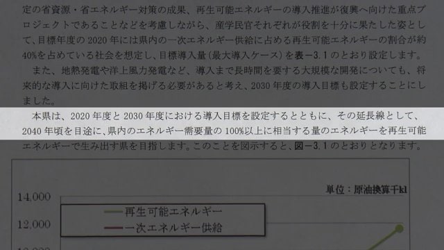 福島県再生可能エネルギー推進ビジョンより