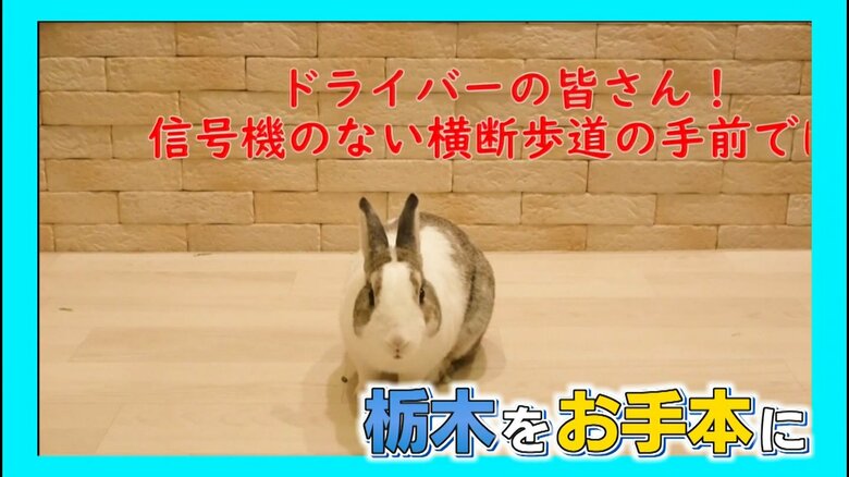 鳥取県警も「一時停止率」向上狙う