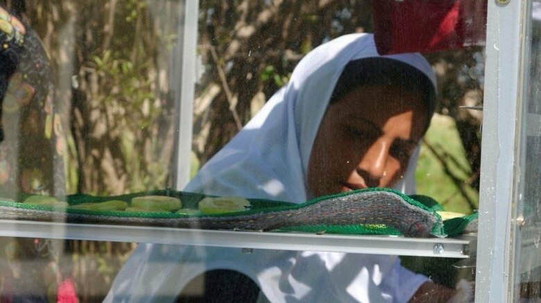 果物を乾燥させる女性スタッフ