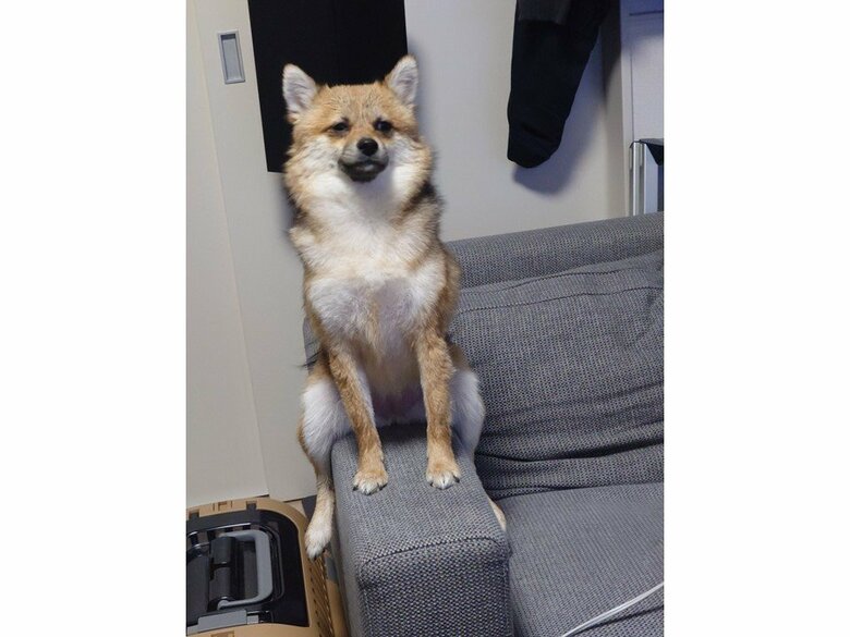 投稿された写真