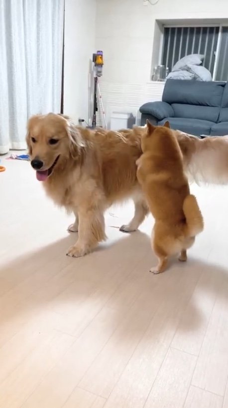 提供：うにandおからさん