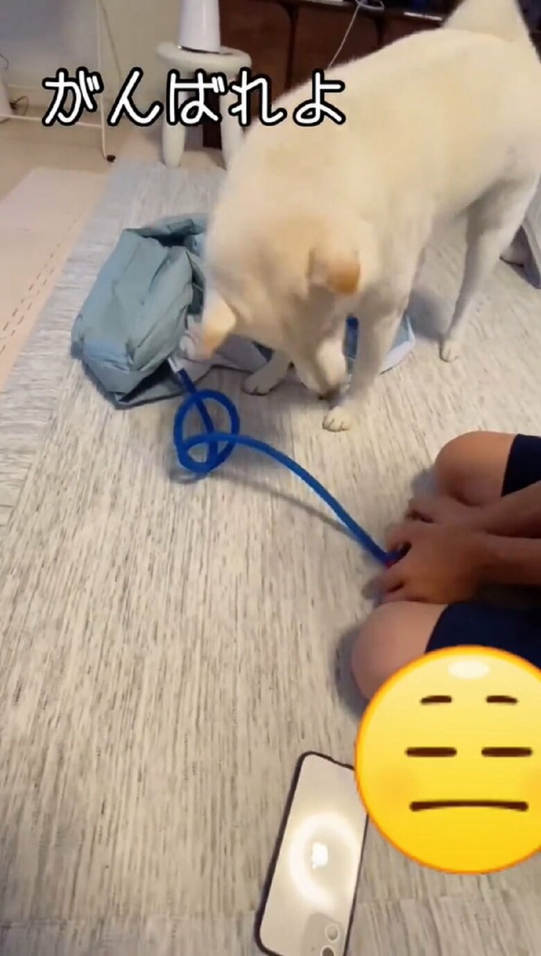 「がんばれよ」