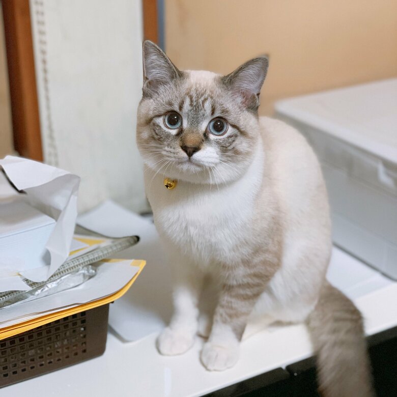 2022年1月の姿。立派に成長した