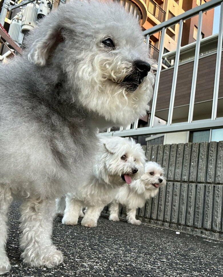 親子で仲良くお散歩