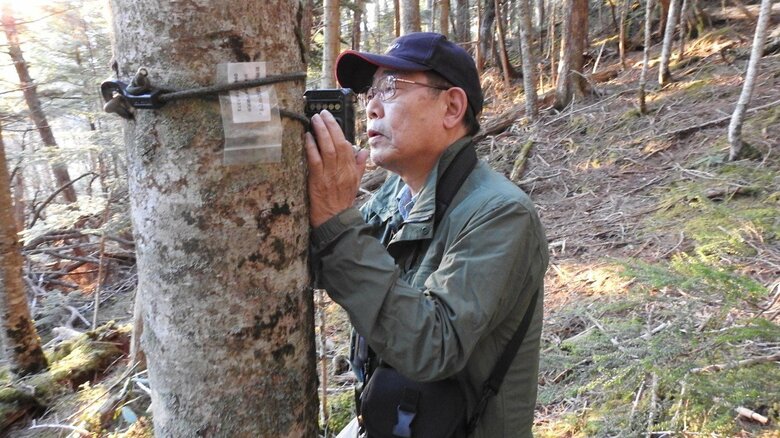 調査中の今泉先生
