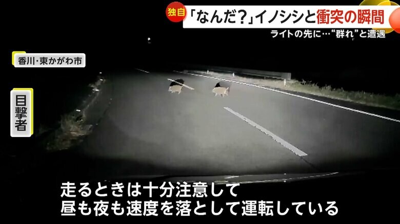 「昼も夜も速度を落として運転している」と話している目撃者