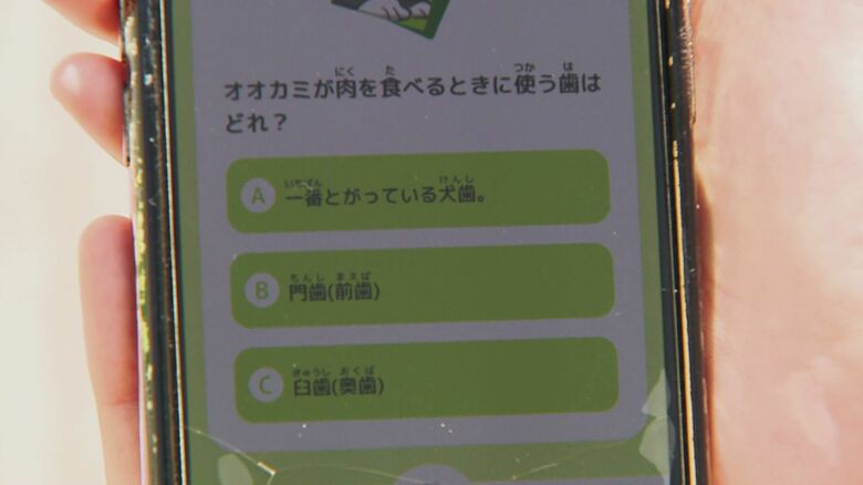 動物クイズが出題される