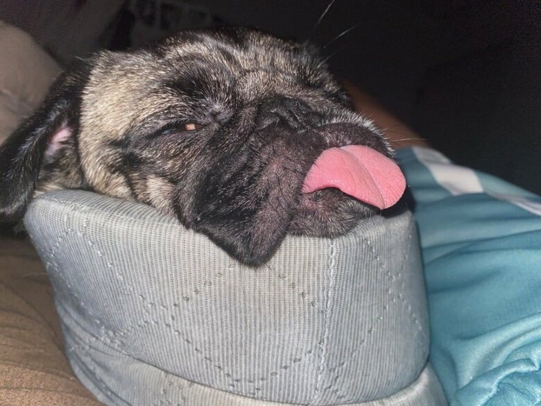 提供：ボンさん