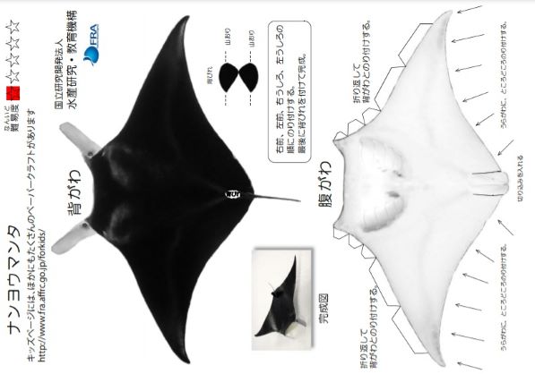 ナンヨウマンタの型紙（国立研究開発法人 水産研究・教育機構HP）