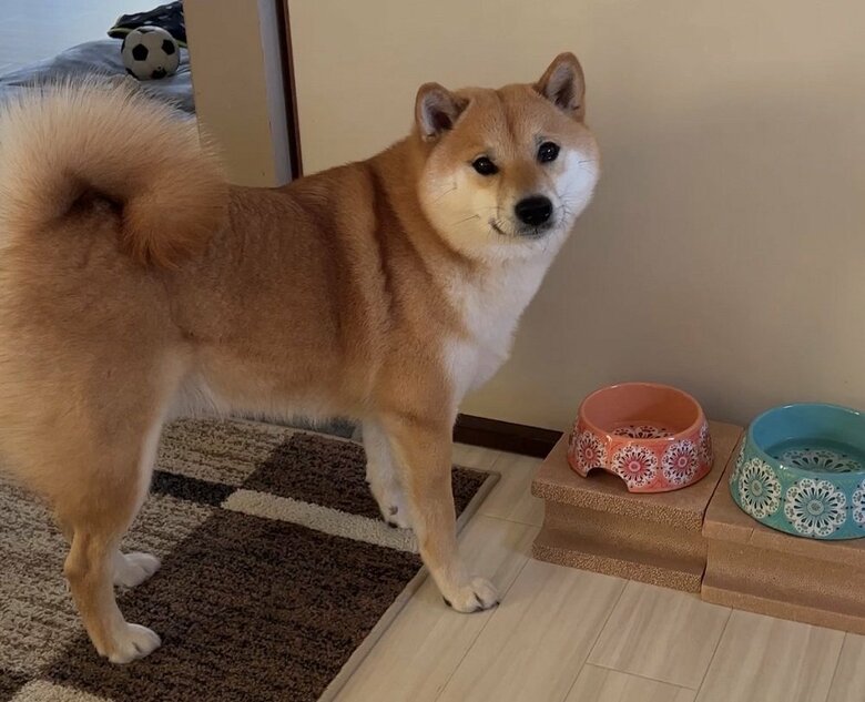 ご飯食べ終わっちゃった