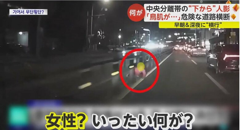 現れたのは女性か