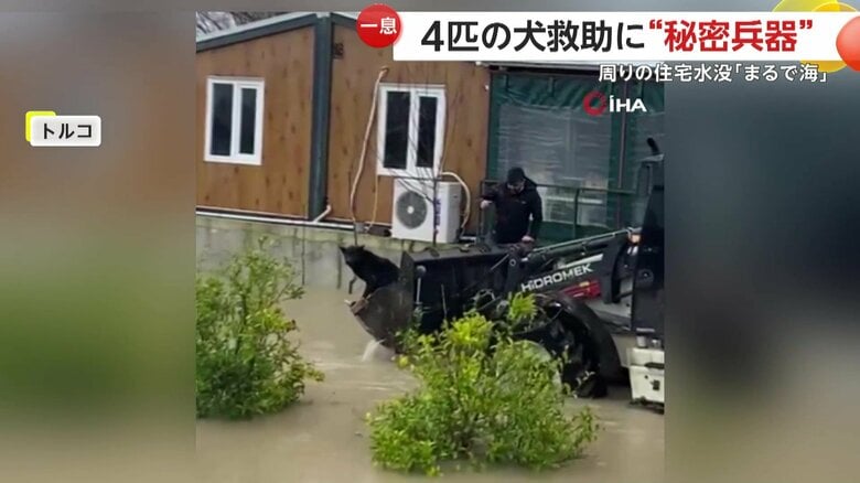 重機のシャベル部分を使って救助された犬