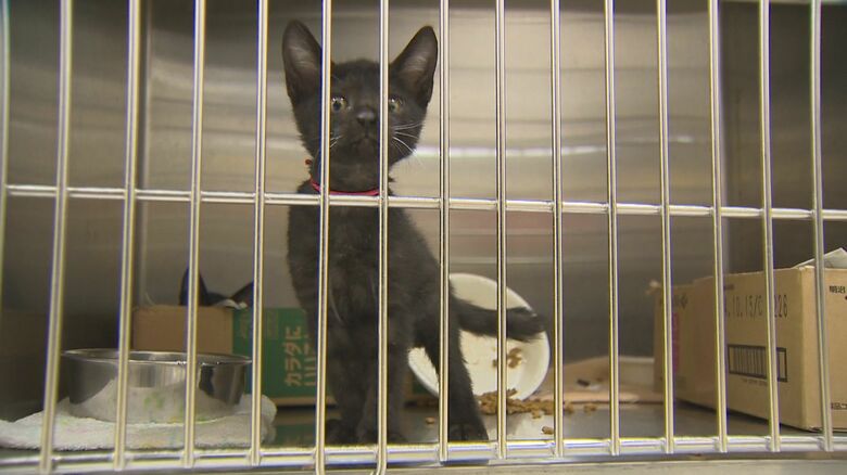 新潟市動物愛護センター