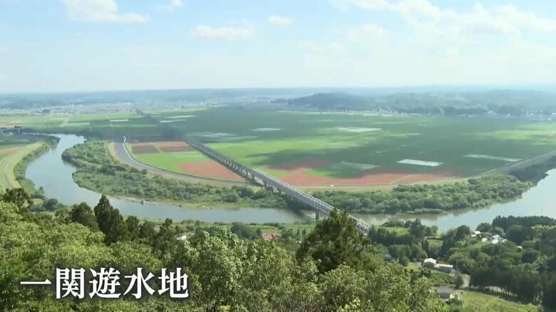 新幹線の高架が通る広大な水田地帯が一関遊水地