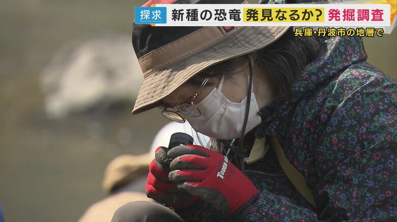 黙々と化石を探すボランティア