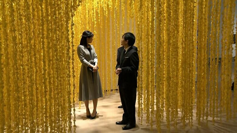 須藤玲子さん作「ピカチュウの森」をご覧に