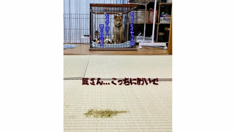 同じ場所を先日も…