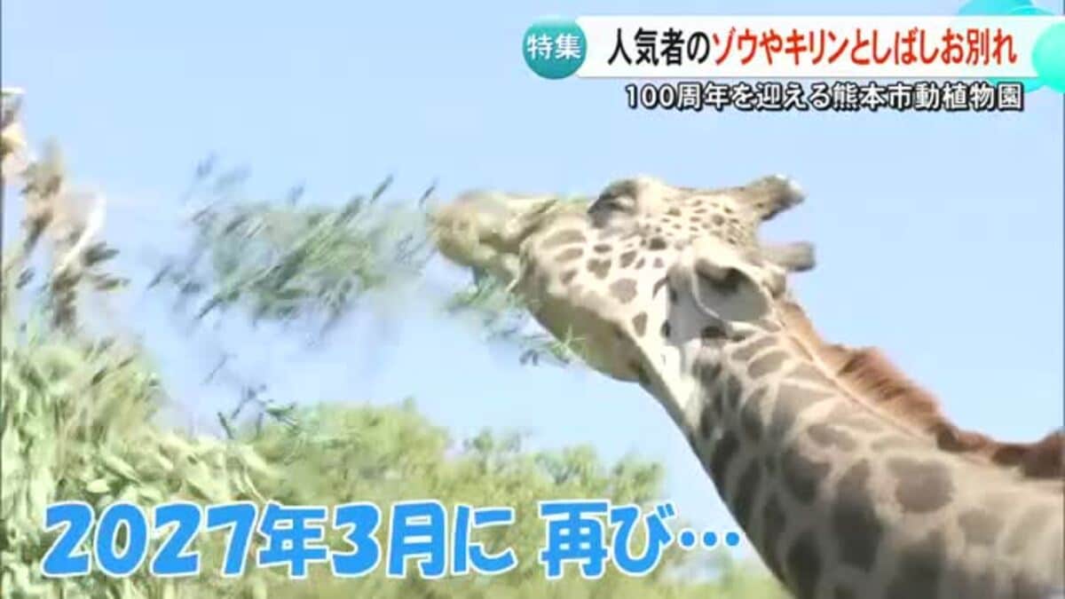 ゾウやキリンとしばしのお別れ 熊本市動植物園｜FNNプライムオンライン