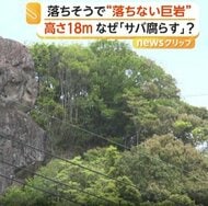 落ちそうなのに…“絶対に落ちない巨大岩”　合格祈願と縁結びの名所に　間近に見られる新散策路オープン　長崎・時津町