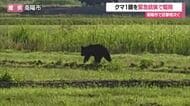【クマ出没】JR赤湯駅など早朝に目撃相次ぎ愛露橋北側で緊急銃猟　2026年に入り3件目　山形・南陽市