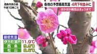 ぽかぽか陽気続く 予想最高気温は4月下旬並みに 暖かさは22日まで【愛媛】