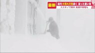 北海道で大荒れ天気 湿った重い雪で「車の立ち往生」「倒木」「停電」相次ぐ…高潮や除雪中の死亡事故も