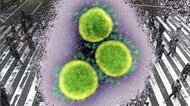新型コロナ 全国の重症者は816人 2日続いて800人超