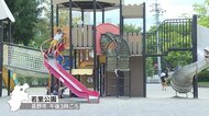 暑い! 7地点で30度超 上田33.2度 長野31.9度 各地で真夏日に