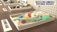海を守ろう!海洋ごみ問題を考える展示会 伊予市役所で7月30日まで【愛媛】