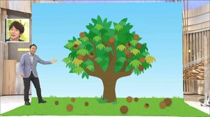 今が旬!おいしい「栗」の見分け方と2倍甘くなる保存方法を聞いてみた
