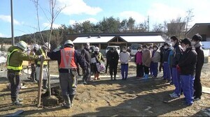 児童が再建運動施設に桜の植樹<岩手・陸前高田市>