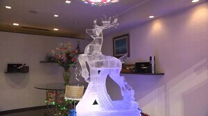 “氷で作られたトナカイの彫刻”設置…コロナ禍で打撃を受けた飲食店をクリスマスムードで応援