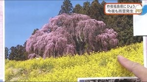 〔動画で詳しく〕4月10日(金)福島県の天気 きょうもみんなでエア花見