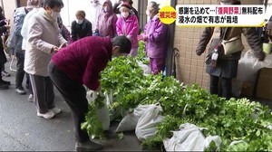 感謝と願いを込めて 「復興野菜」を栽培、無料配布 浸水被害の長野市豊野町