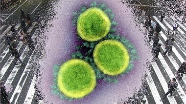 新型コロナ 全国の重症者457人 4日連続で400人台